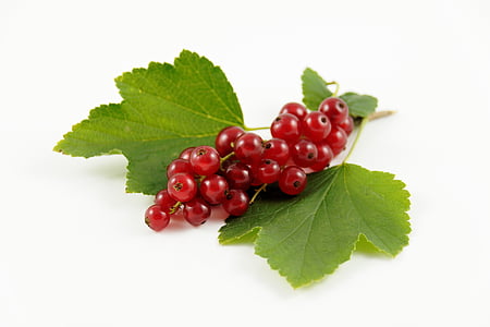 red berry thumbnail