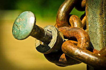 close-up photo of brass chain link and bolt thumbnail