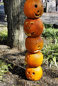 pile of Jack-O'-Lanterns near tree thumbnail