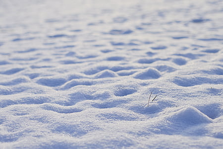 field of white snow thumbnail