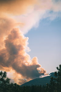 green trees under white clouds thumbnail
