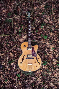 brown and black Les Paul-style electric guitar on dried leaf covered ground thumbnail