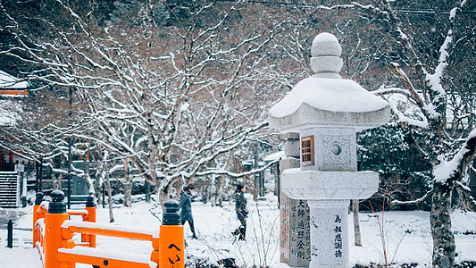 orange wooden bridge railings at winter thumbnail