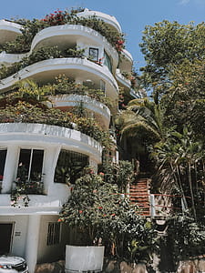 White Concrete House Near Trees thumbnail