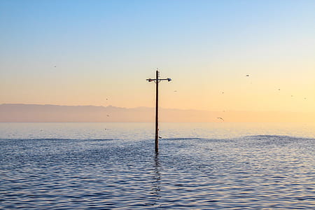 brown standing post in body of water under blue sky during golden hour thumbnail