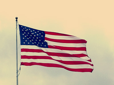 flag of U.S.A. thumbnail