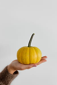 Women's hands in sweater are holding pumpkin thumbnail