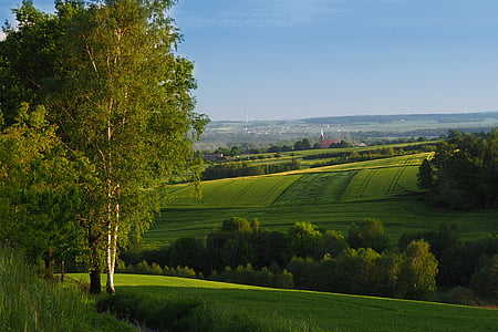 green grass field with trees under blue sky during daytime thumbnail