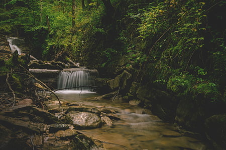 waterfalls surrounded by trees thumbnail
