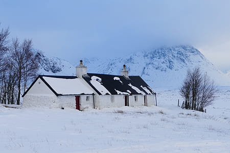 white and black concrete house thumbnail