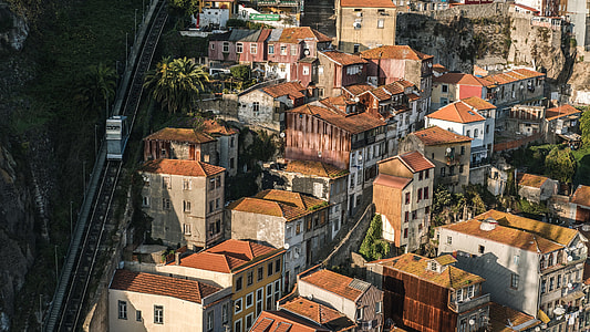 aerial shot of village houses thumbnail