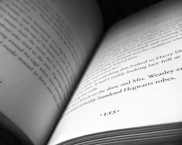 155 Book Page thumbnail