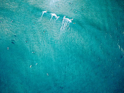 water, sea, wave, people thumbnail