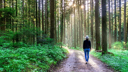 woman standing between trees during daytime thumbnail