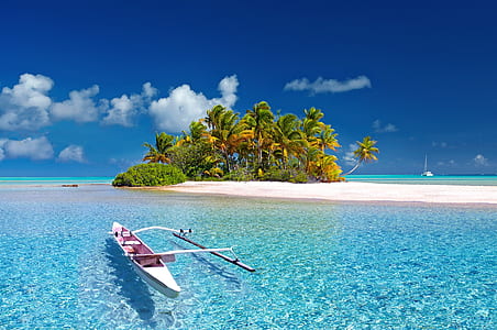close up photo of white row boat on shore thumbnail