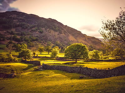green trees under the cloudy sky during daytime thumbnail