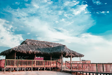 Brown Wooden Cottage Near Beach thumbnail