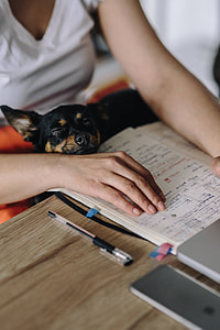 Woman working on her laptop with her dog thumbnail
