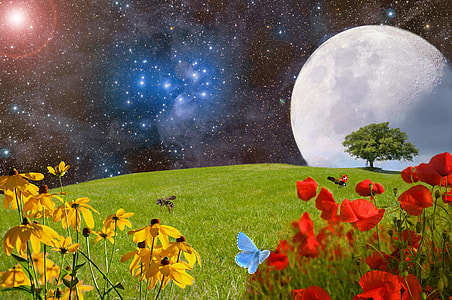 red and yellow flowers in green grass field illustration thumbnail