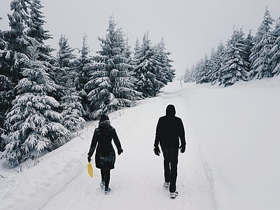 Photograph of Two Persons in the Middle of the Road on a Snowy Setting thumbnail