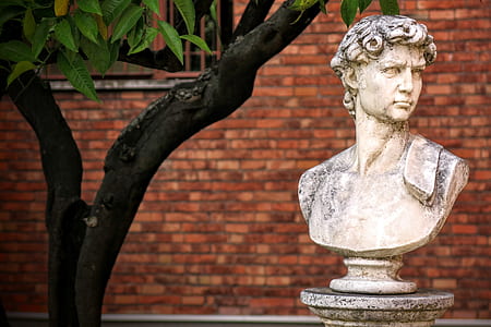 gray headbust decor near tree thumbnail