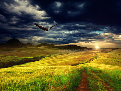 Eagle flying over the landscape with clouds above thumbnail
