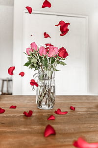 red rose on glass vase thumbnail