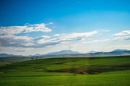 green grass thumbnail