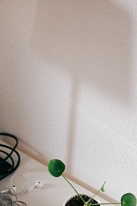 Still life thumbnail