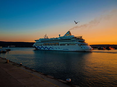 bird flying above cruise ship thumbnail