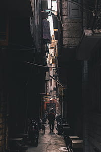 person walking with dog between buildings thumbnail
