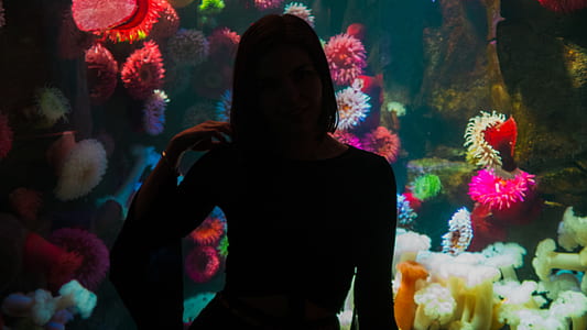 underwater, coral, water, sea thumbnail