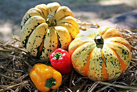 two yellow squashes thumbnail