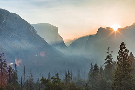 aerial photography of foggy mountain with trees thumbnail