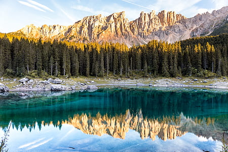 green tree mirrored on water during daytime thumbnail