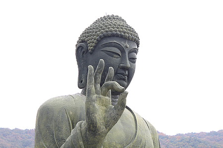 Buddha statue under gray sky thumbnail