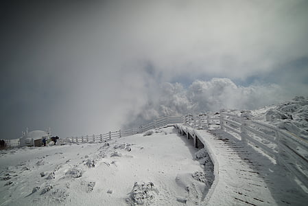landscape photography of snow pathway under white clouds thumbnail