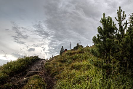 dawn, nature, sky, hill thumbnail