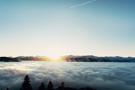 trees and mountain covered with white fogs thumbnail
