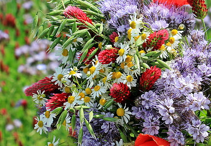 close up photography of flower arrangement thumbnail