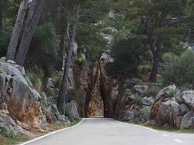 empty pave road between tall tress and rocky mountain thumbnail