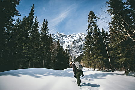 person in black long-sleeved top on snow surrounded by trees thumbnail