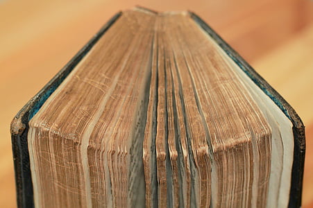selective focus photograph of brown and black book thumbnail