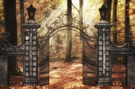 grey concrete stand with black metal gate thumbnail