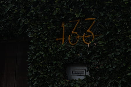 133, house, home, bush thumbnail