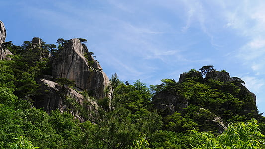 rock formation covered with trees at daytime thumbnail