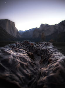 close up photography of Zion National Park Utah thumbnail