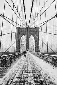 brooklyn bridge, landmark, historic, architecture, winter, snow thumbnail