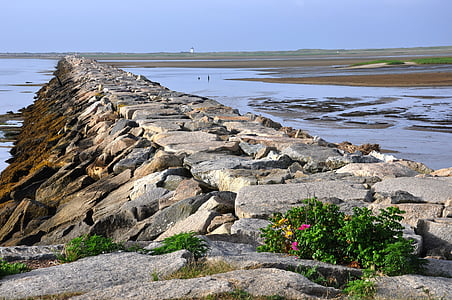 brown and gray rock formation thumbnail