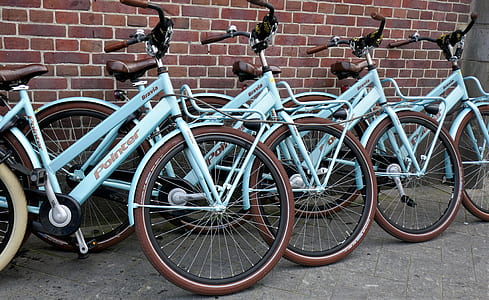 teal Pointer bicycle standing near brick wall during daytime \ thumbnail